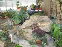 альпийские горки из камня песчаника