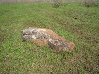 валун степной кит камень песчаник глыба